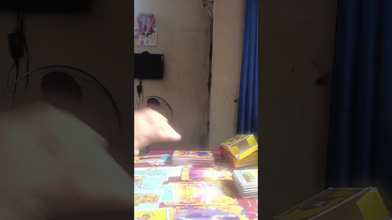তোমাদের আজকের দিনটা কেমন কাটতে চলেছে?😊❤️🌿 wh No-9531614022 for personal reading 