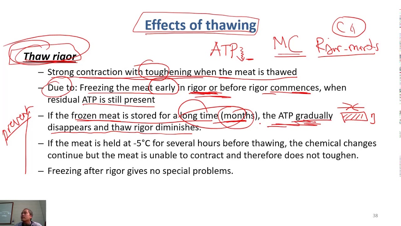 C6-10 thawing - principles and effects| Meat Technology