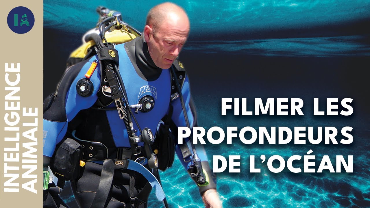 Mario Cyr : cinéaste des profondeurs I IA