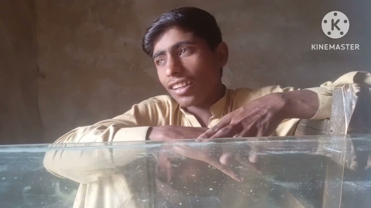 Mere dost ki Sundar SE Nat