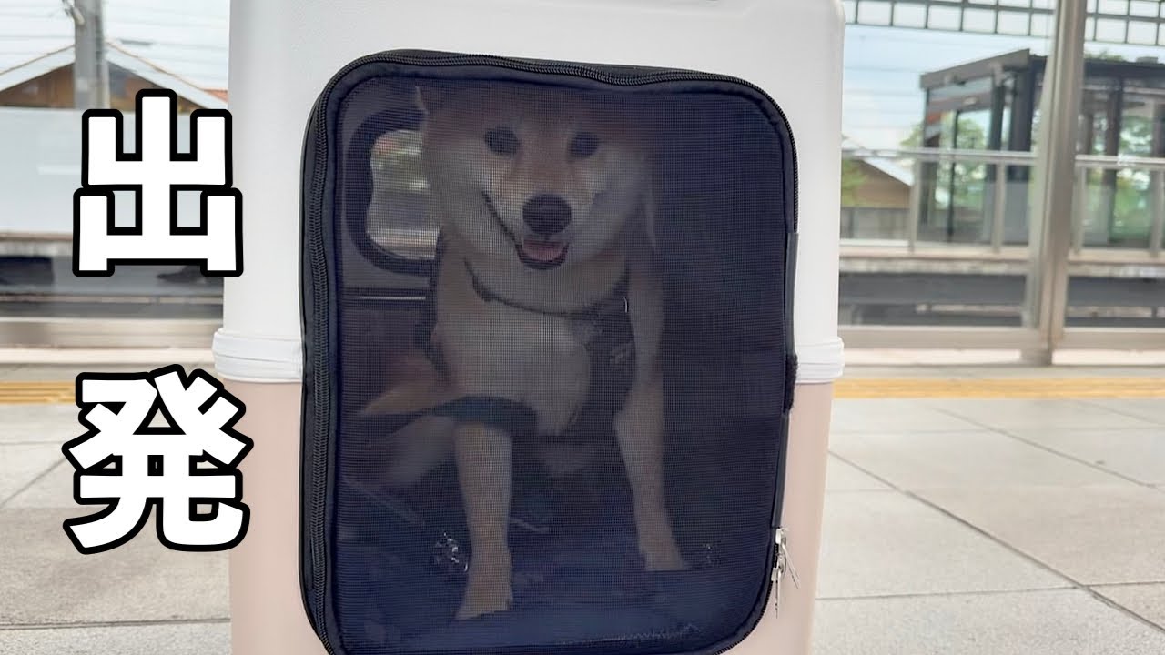 新生活に向けて軽井沢を出発しました
