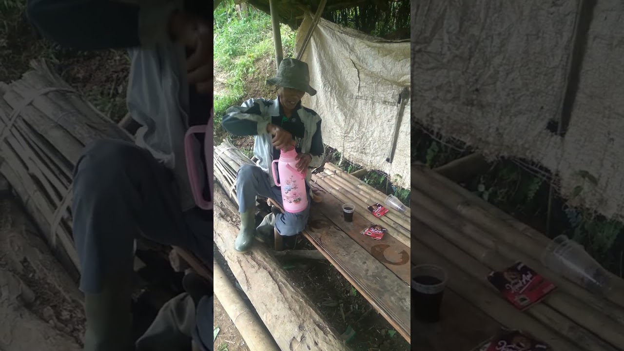 Pagi-pagi berangkat ke sawah