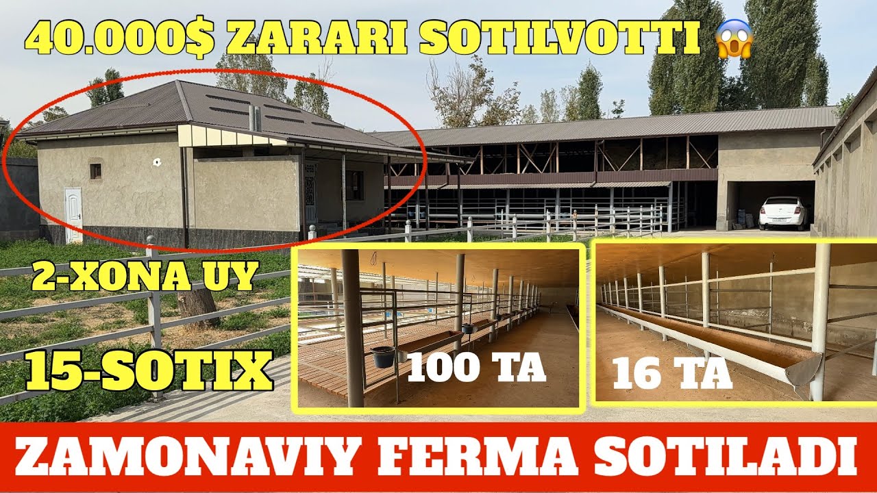ZAMONAVIY FERMA 2-XONA LUKS UYI BN 120.000$ KAMI BOR 15 SOTIX OLDI FASAD 30 m YONIGA 50 m