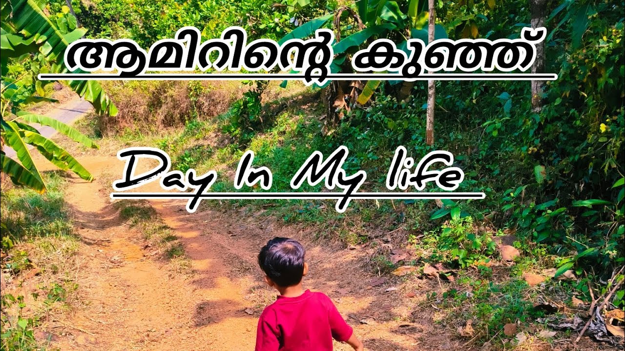  ആമിറിൻ്റെ കുഞ്ഞ് Day In My Life😊  #dayinmylife #trending #baby #trendingvideo #trend 