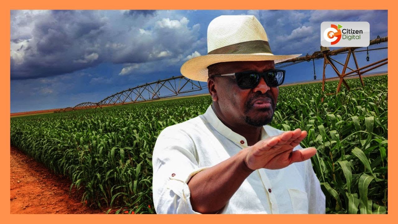 Government ramps up irrigation to boost food production
