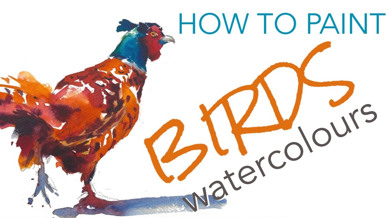 How to Paint BIRDS with WATERCOLOURS - Pheasant, simple watercolour tutorial