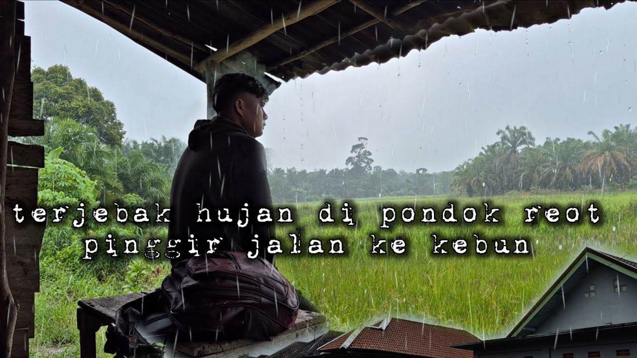 Terjebak hujan di podok tua pinggir jalan hampir seharian warta petani muda hidup di hutan