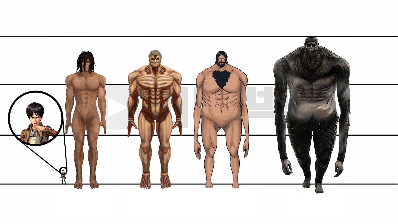Attack on Titan | Characters Height Comparison