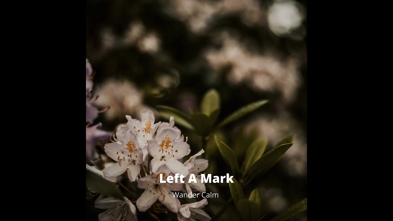 Wander Calm - Left A Mark  (Piano, Classical, Neo - Classical Music)