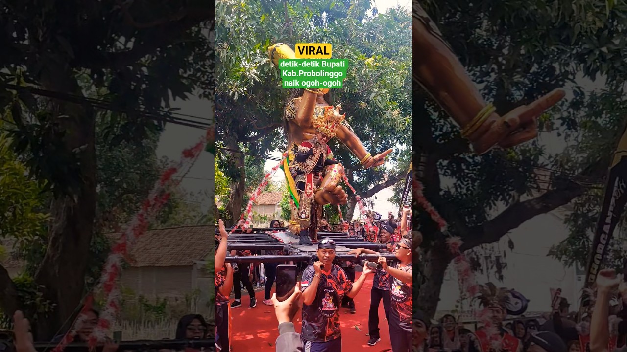 BUPATI Kab.Probolinggo ikut memeriahkan PAWAI BUDAYA #shorts #probolinggo #karnaval #gusharis