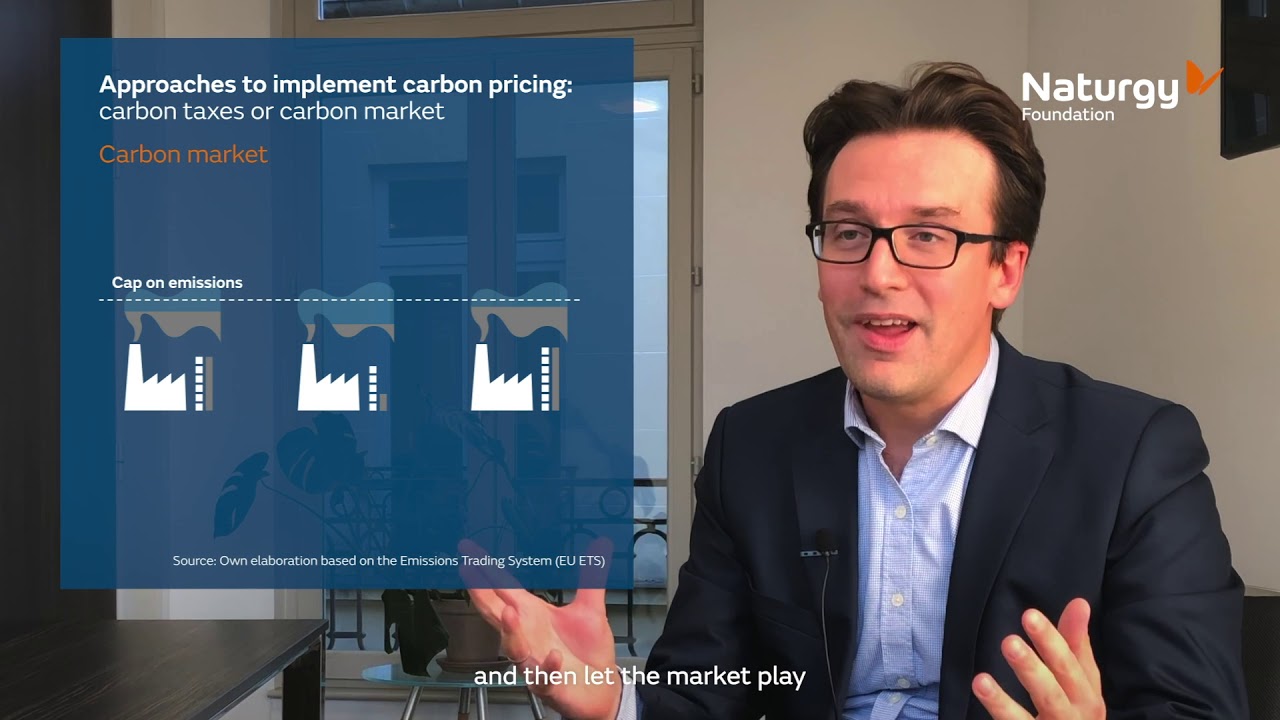 Carbon Pricing: Main Achievements in Europe and Options for Deep Decarbonisation