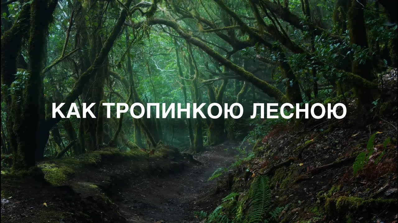 Как тропинкою лесною | Христианские песни