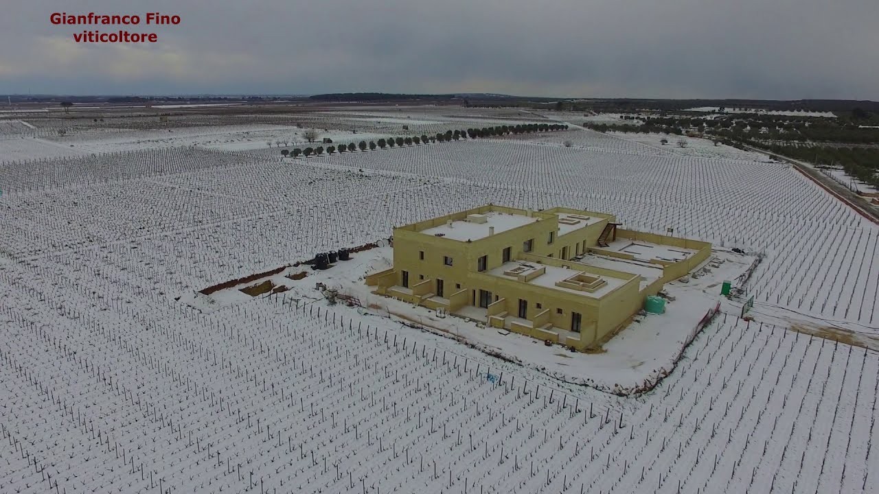 GFV 14 febbraio 2021