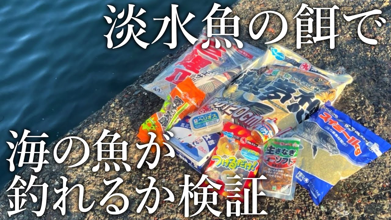 淡水魚を狙うエサ総出で海釣りを行うと［果たして何が釣れるのか？］堤防で検証してみた