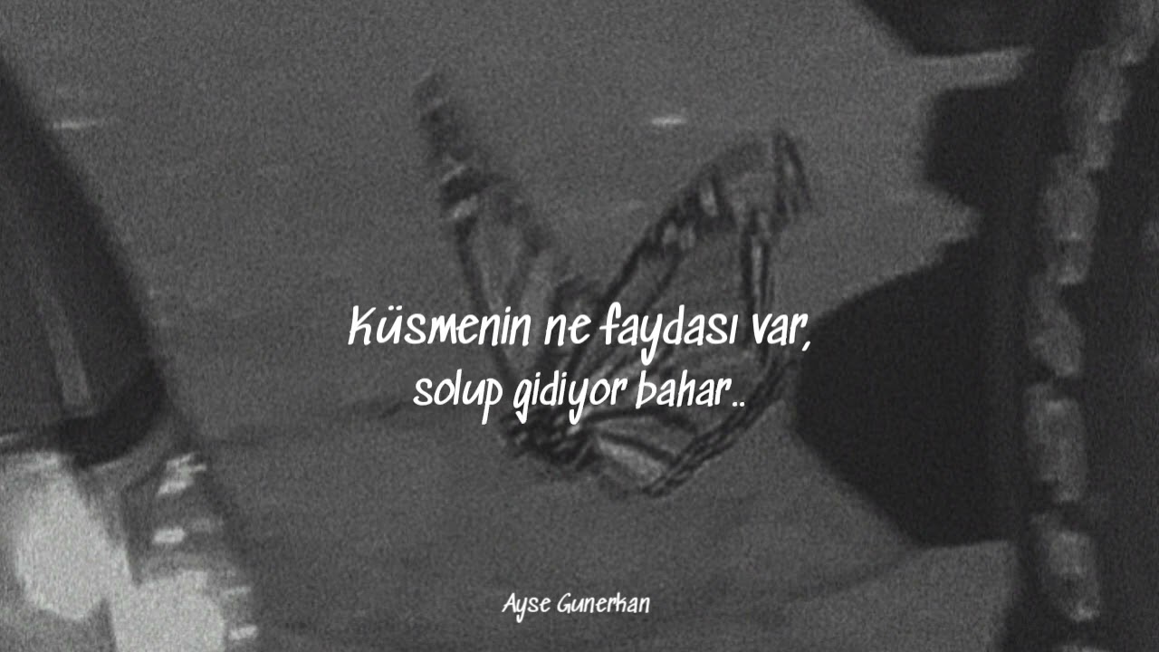 Sarılırım Birine - Adamlar /speed up and lyrics