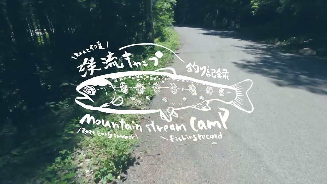 【 渓流釣り 】【 PALMS Sylpher 53UL/P4 】Mountain Stream Camp fishing-record 2022