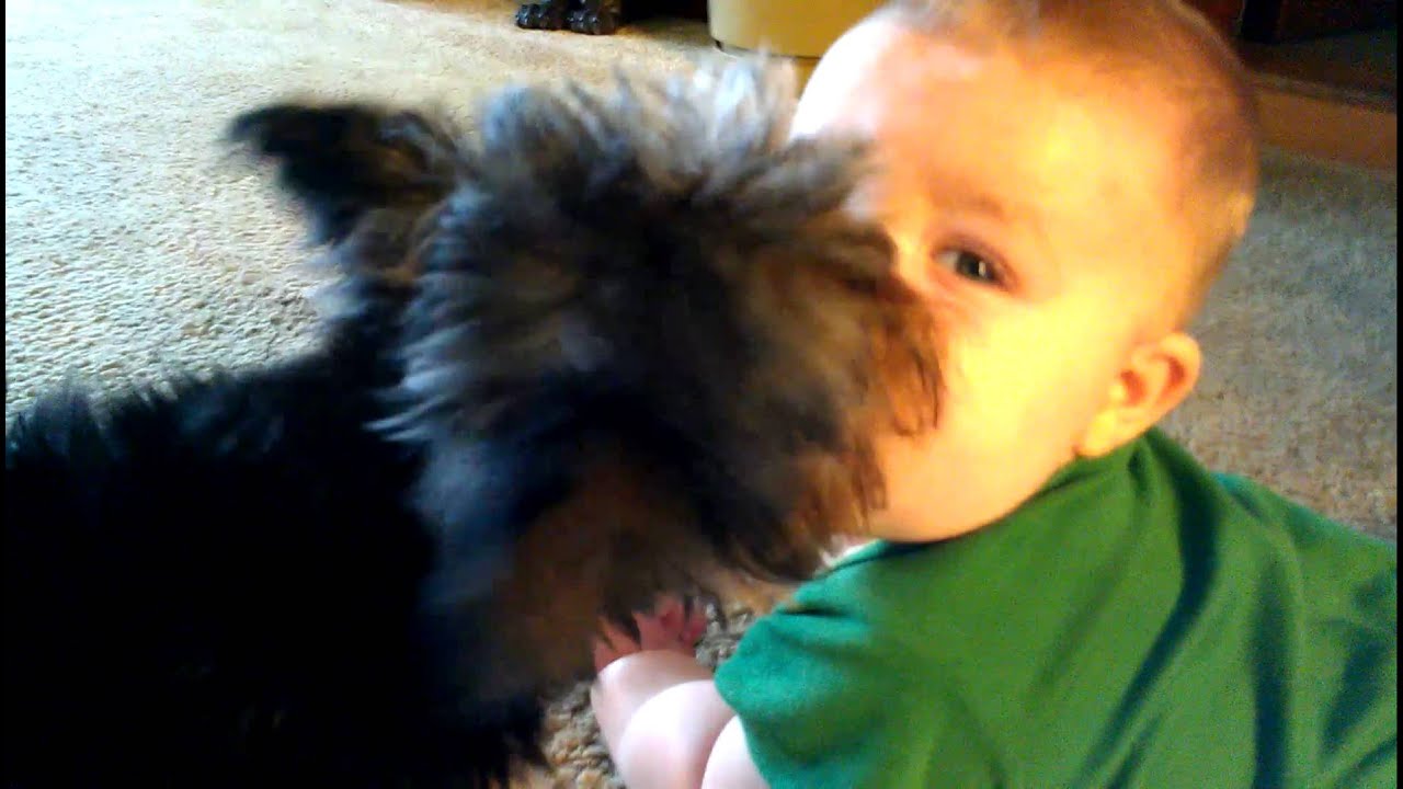 baby and puppy kisses