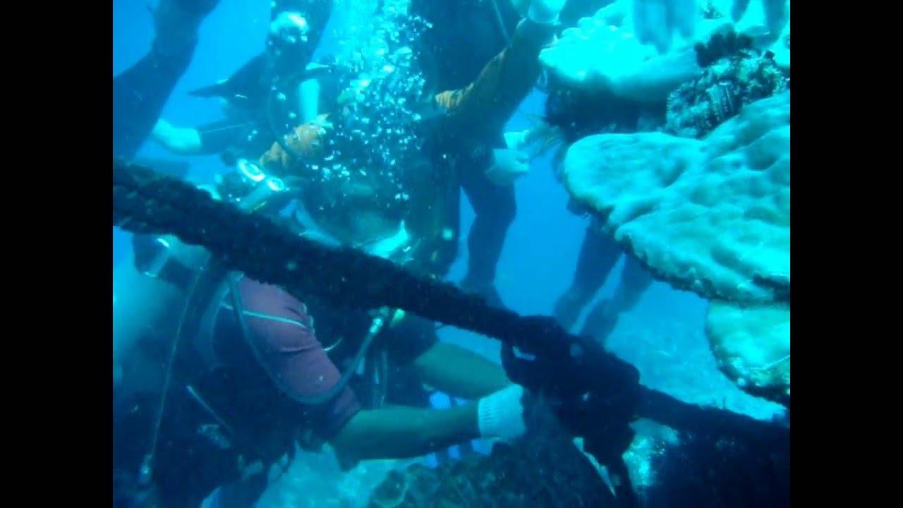 Verde Island Passage Project of Batangas CRM Foundation & Malampaya Foundation, Inc.