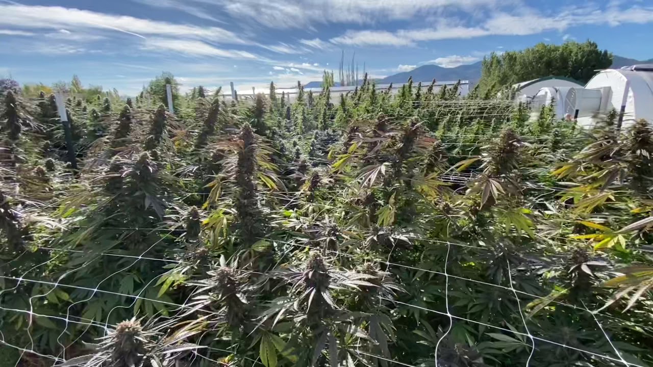 Ebb & Flow Farm - Ashland, Oregon