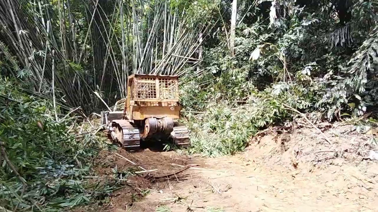 cara driver bulldozer buat jalan merantasi rumpun bambuh