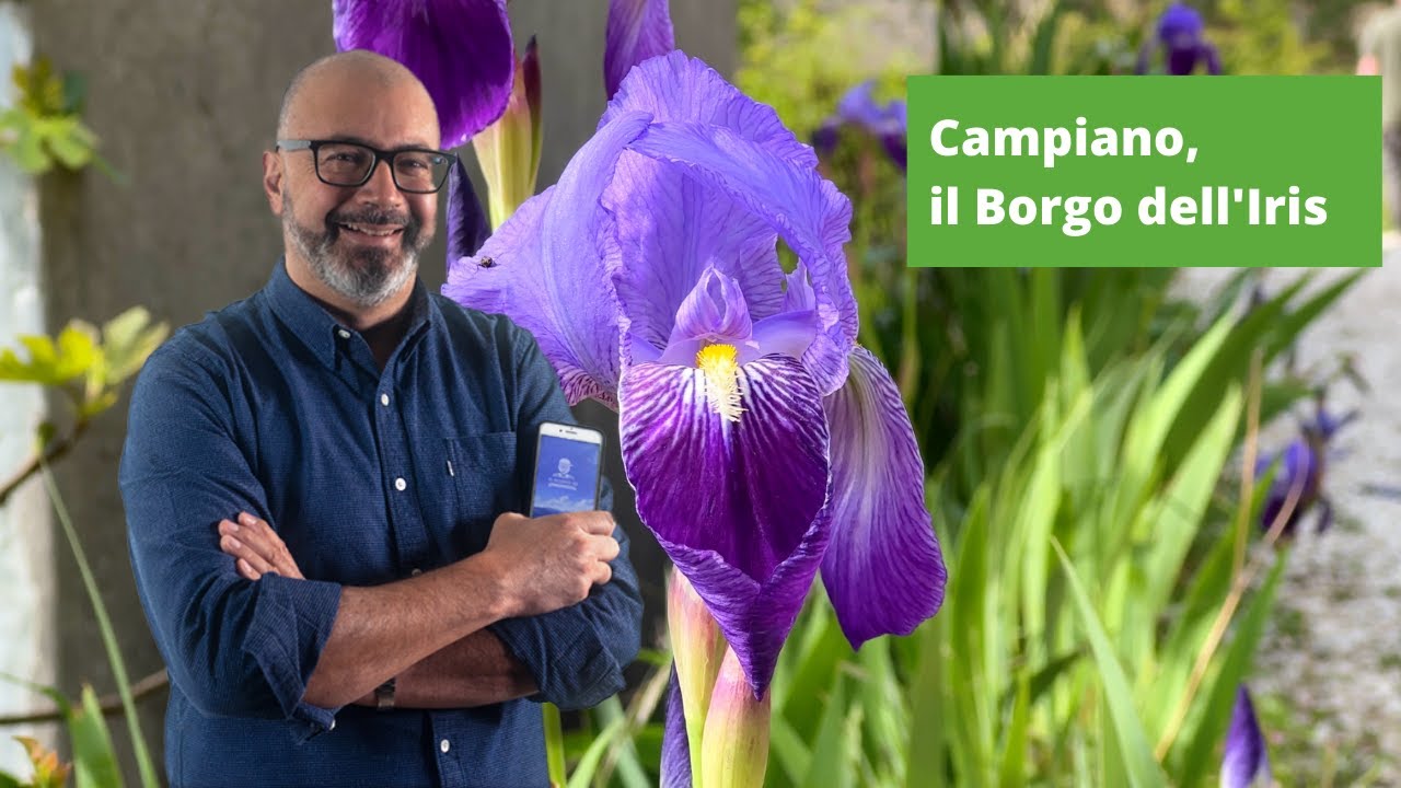 Campiano, il Borgo dell'Iris