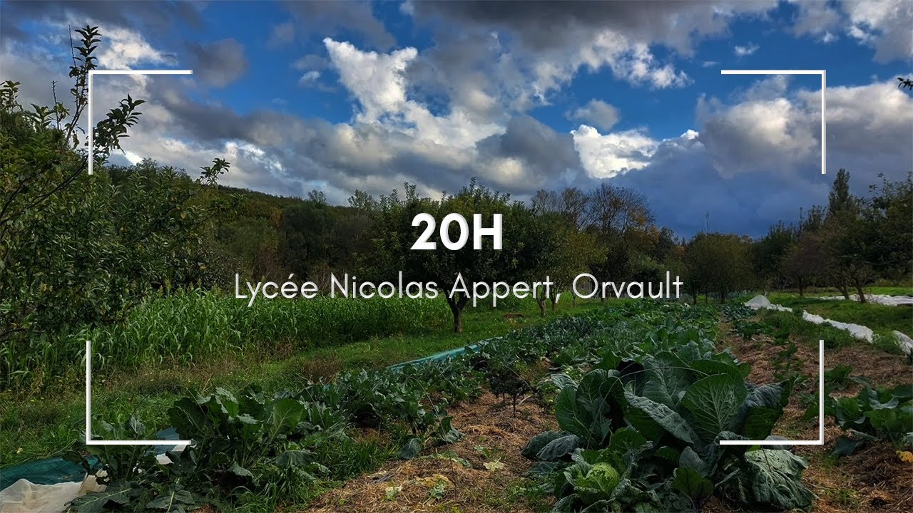 20H (2nde) Lycée Nicolas Appert, Orvault - AC Nantes - 2025