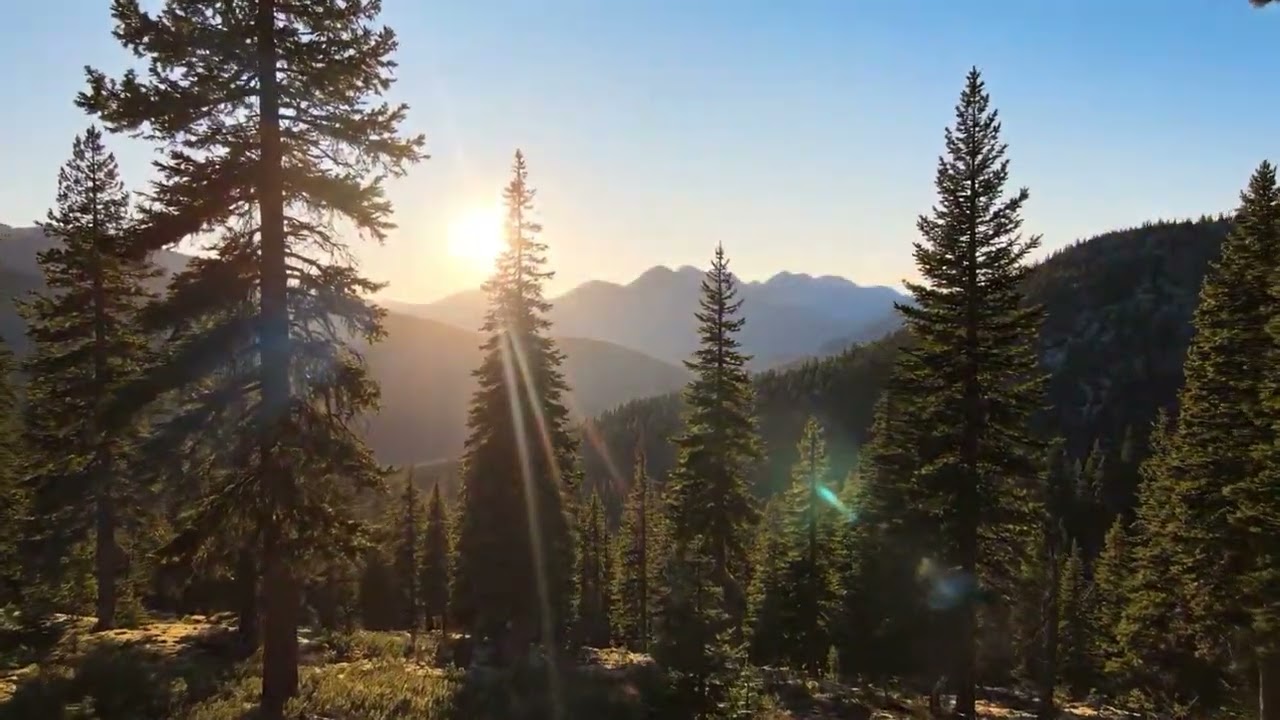 Zenflow Music 🌿 Calm Folk & Country Acoustic for Relaxation & Peace