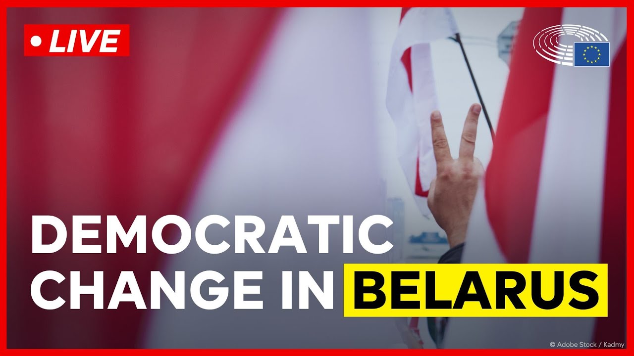 Conference on prospects of democratic reform in Belarus