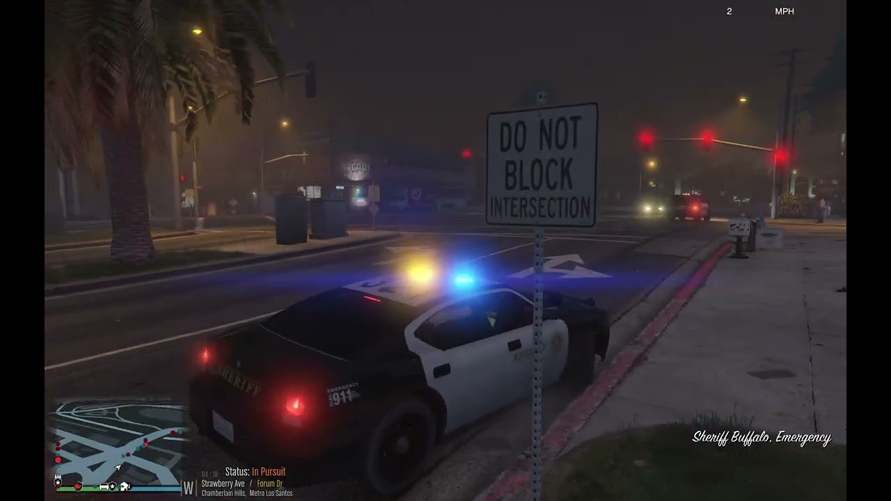 GTA V LSPDFR Lore Friendly | Davis Troubles | LSSD Davis Division