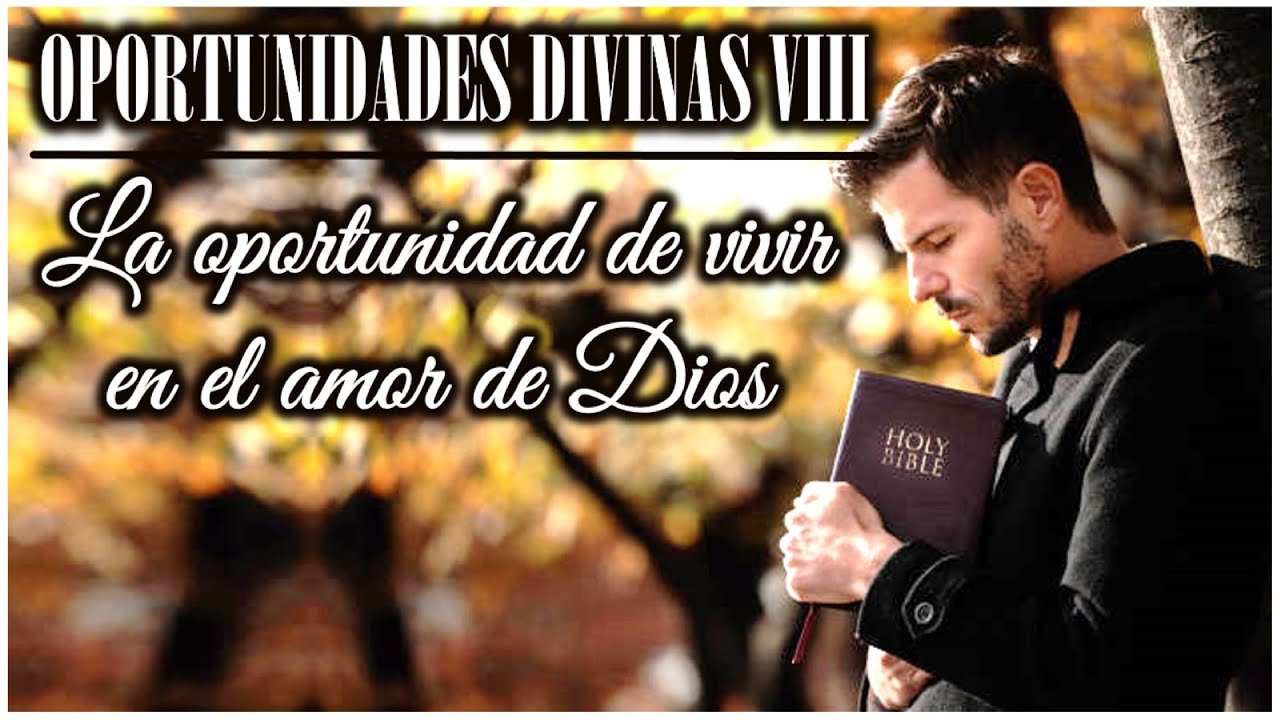 Oportunidades Divinas VIII