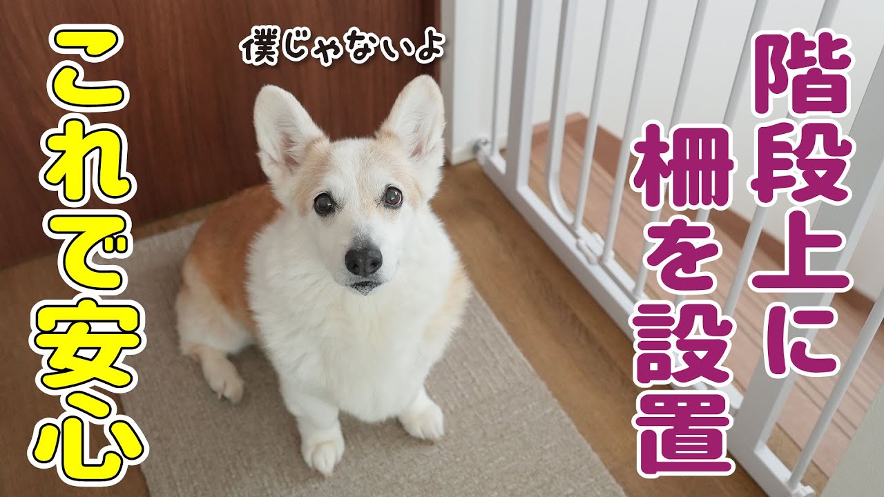 とある物が階段から落ちたので、柵を付けることにしました