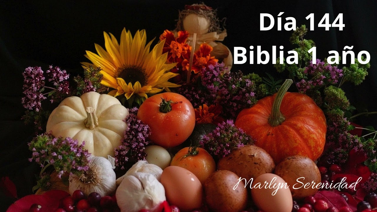 Día 144 Biblia 1 año