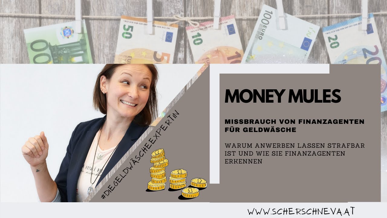 Wie werden Finanzagenten für Geldwäsche mißbraucht? MoneyMules Teil 1
