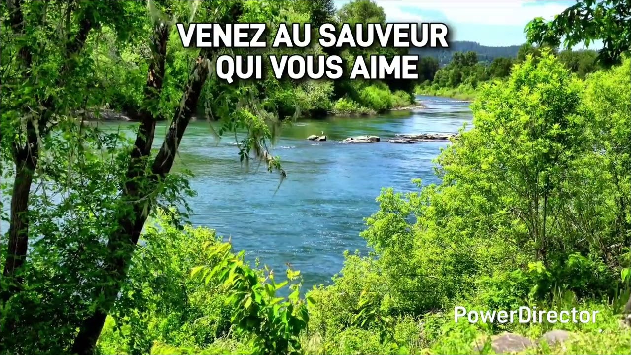 Venez au Sauveur qui vous aime | 248 CEF | Instrumentale 