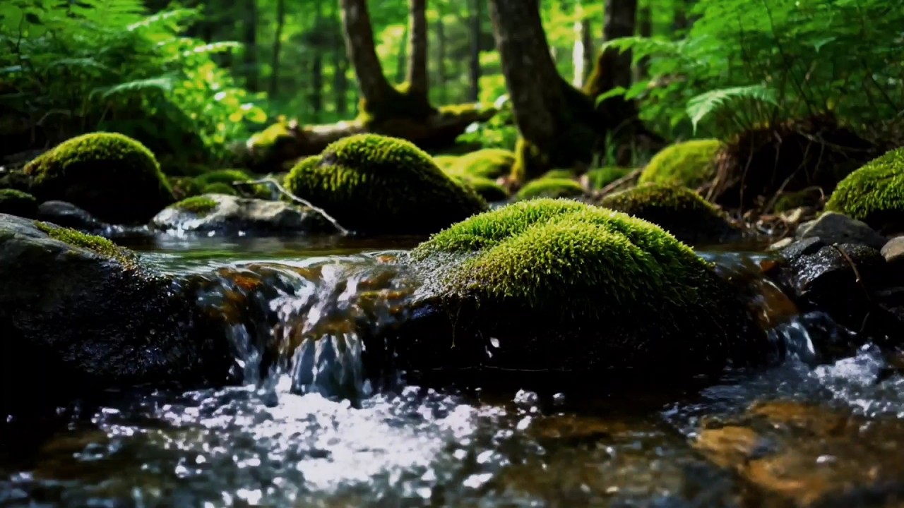 Soothing River Sounds for Deep Sleep | Calm Your Mind & Reduce Anxiety Naturally (No Music)