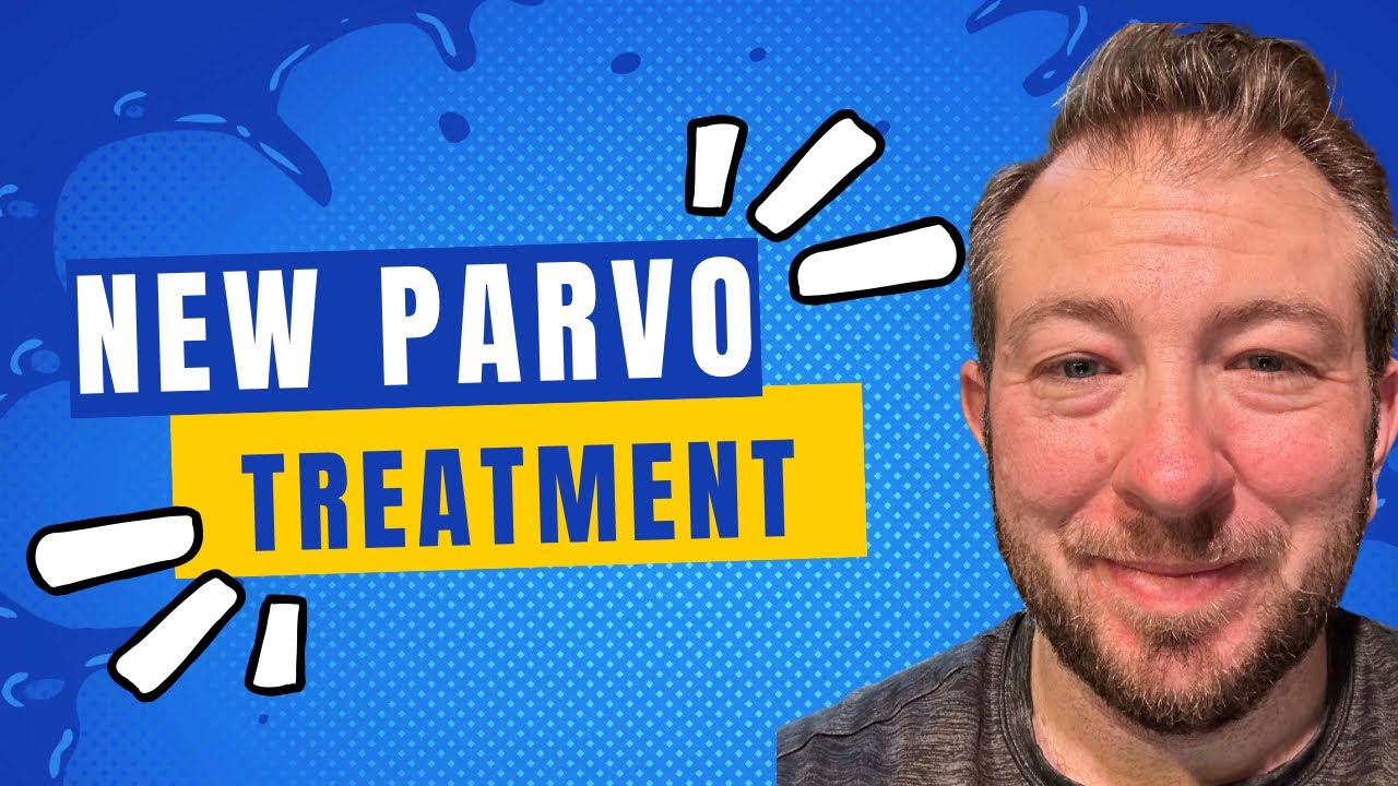 New Hope for Parvovirus Patients: Treatment Breakthroughs and Prevention Tips