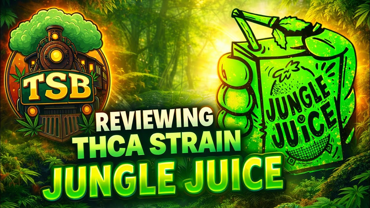 This $35 Oz Jungle juice🧃from thca small buds is smacking!😵&zwj;💫#legal#hemp#gas#vlog#budget#tsb#packs