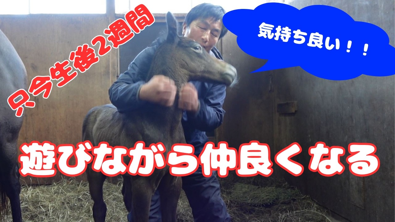 チビと遊ぶ