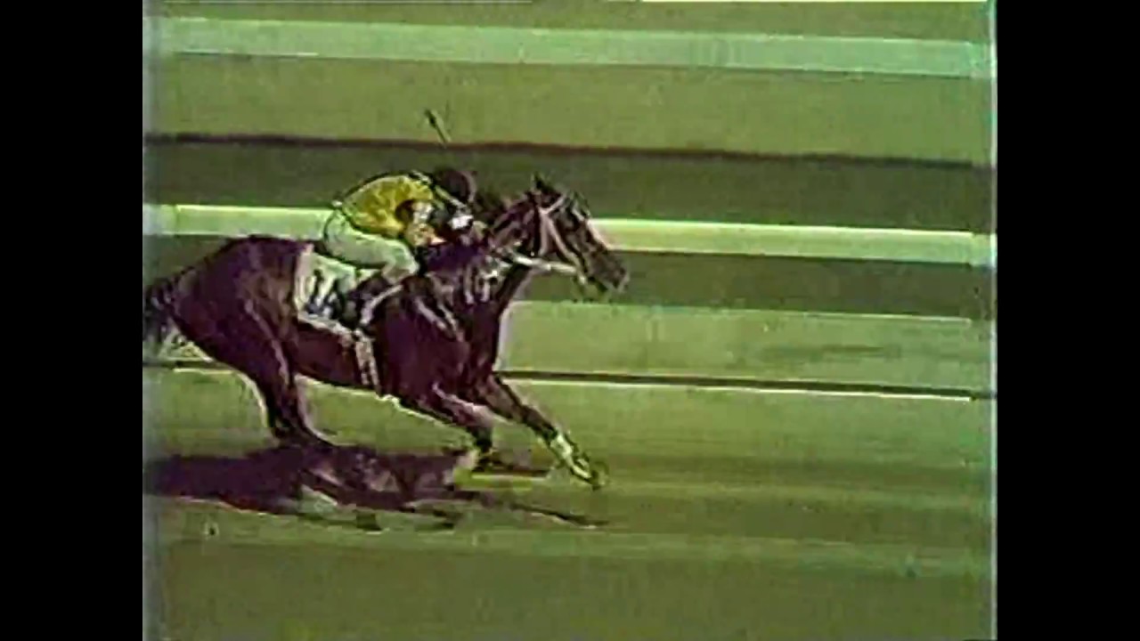 EL REY - Con Johnny Belmonte - 24 Octubre 1982