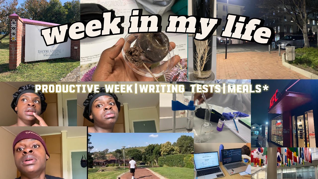 Surviving The Grind: Week of Academic Hustle