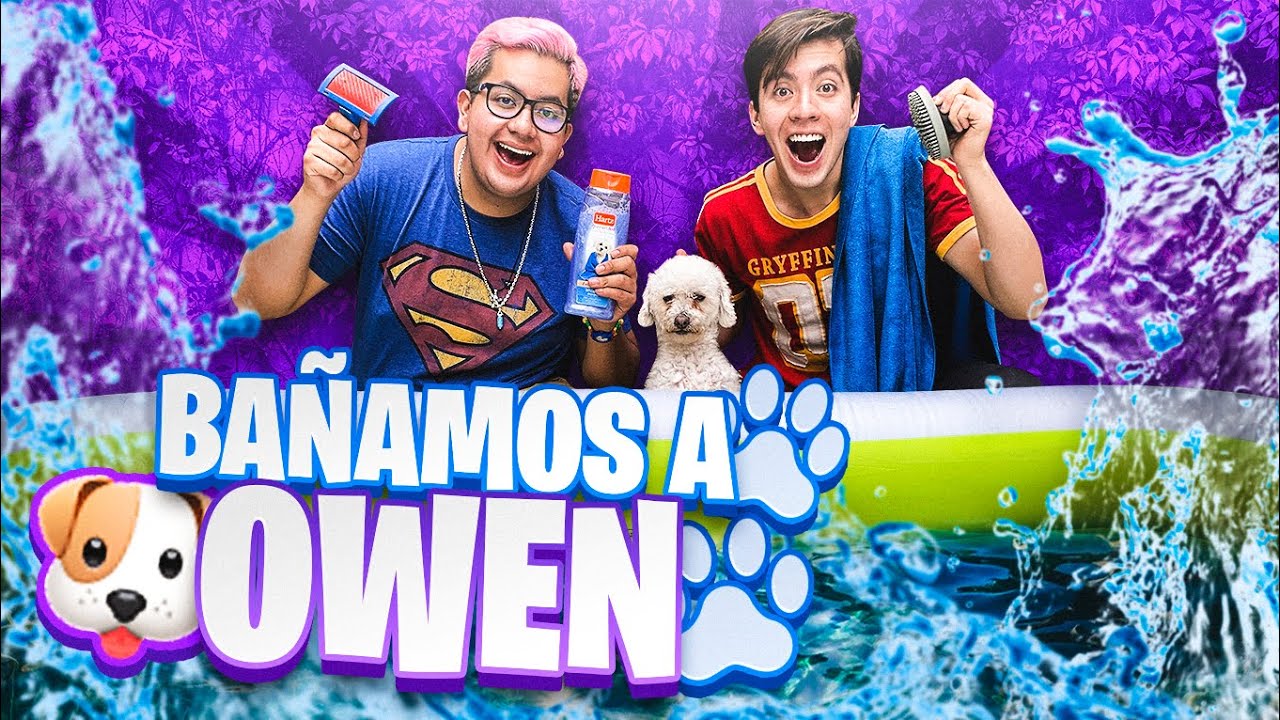 LE COMPRAMOS UNA PISCINA GIGANTE A NUESTRA MASCOTA