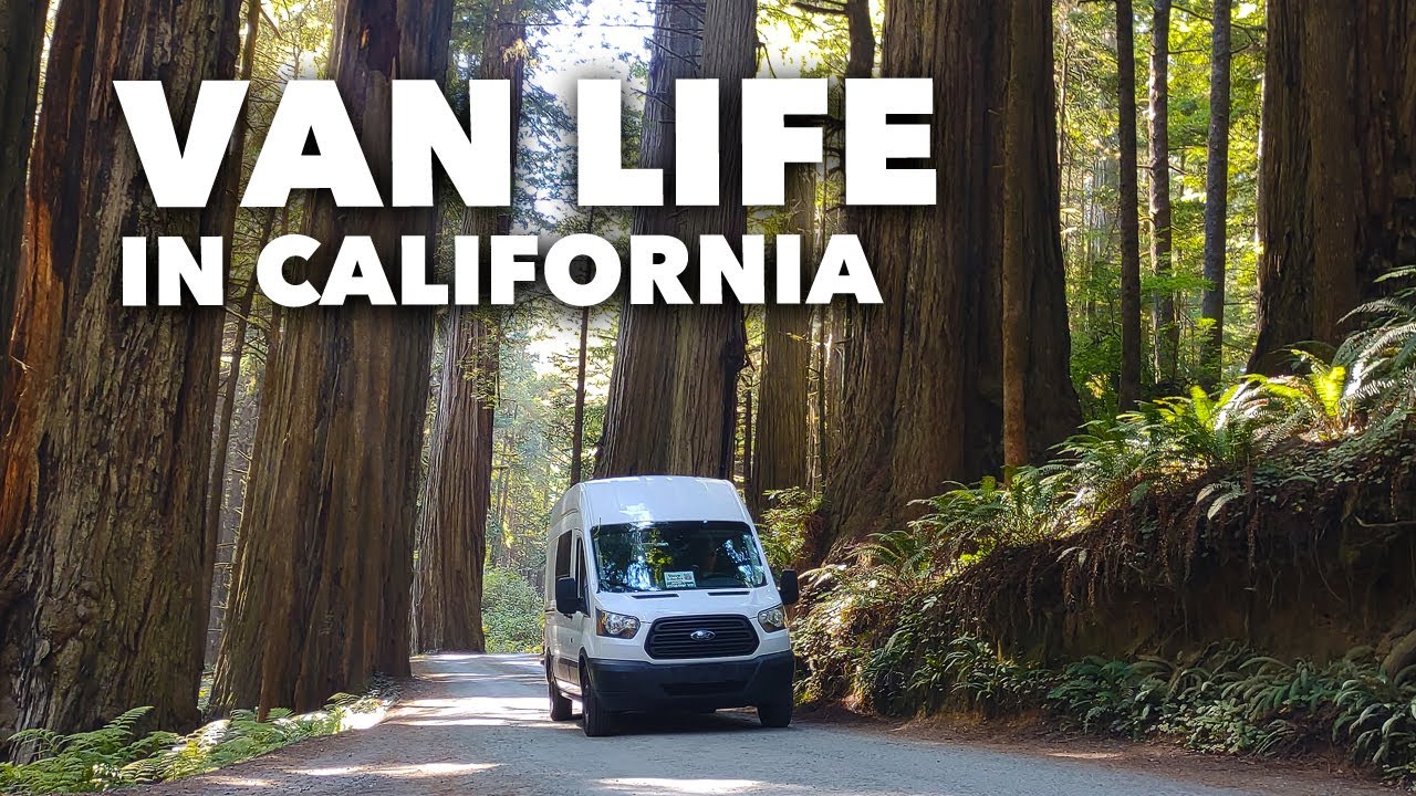 Oregon coast vs California coast van life: How will it compare?