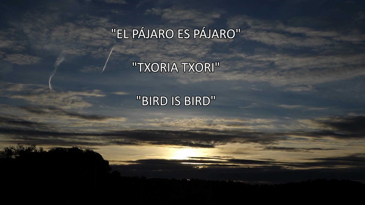 TXORIA TXORI -EL PÁJARO     PÁJARO ES- THE BIRD   BIRD IS-