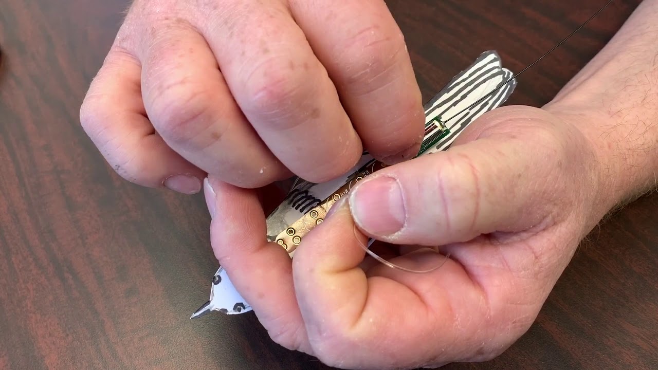 Attaching a CTT LifeTag using either a leg-loop or 3D-printed harness