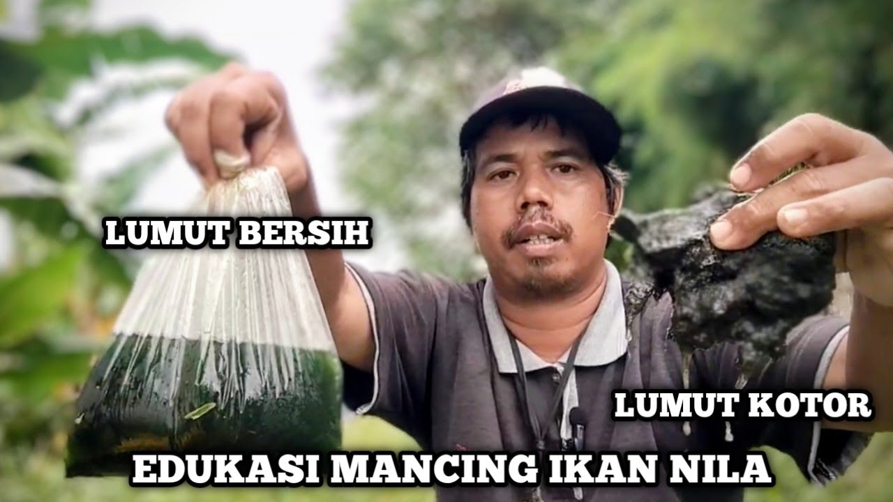 Edukasi mancing ikan nila ‼️umpan lumut kotor vs lumut bersih