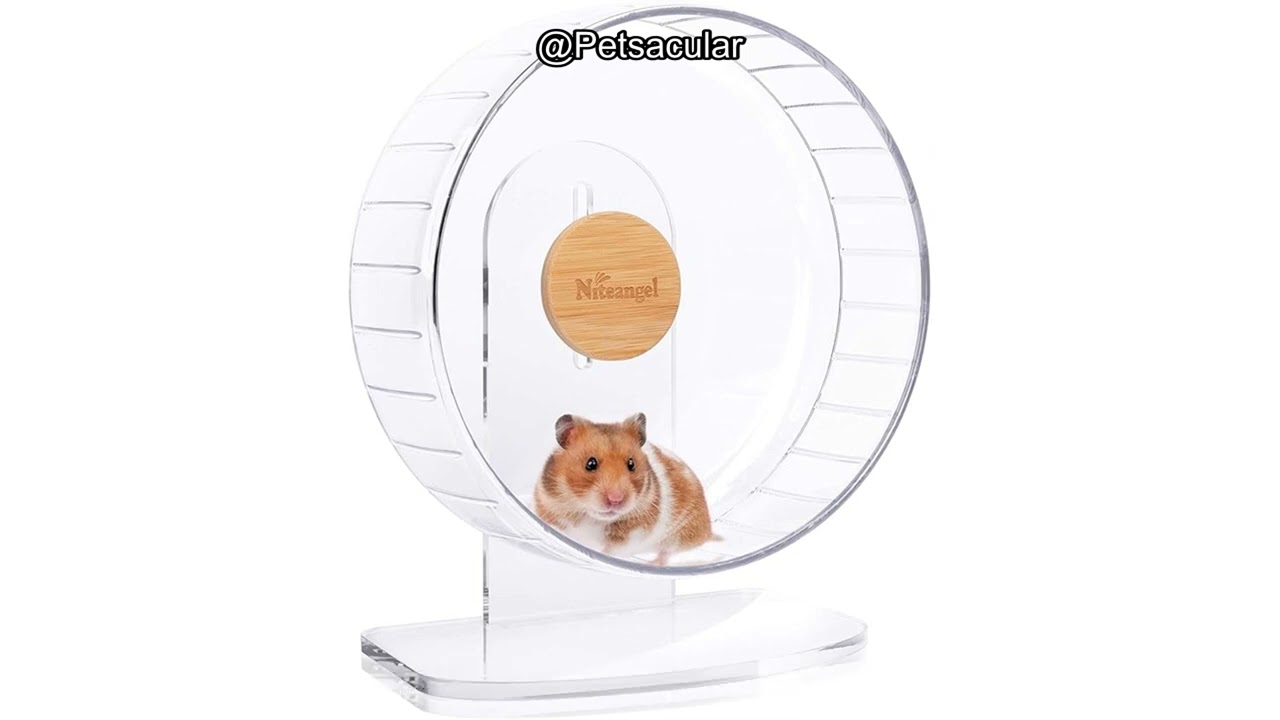 Niteangel Super-Silent Hamster Wheel Review: Is It Worth the Quiet, Adjustable Design?