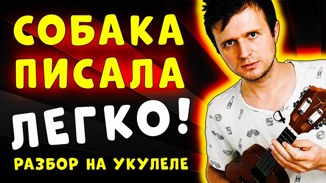ЛЕГКАЯ ПЕСНЯ из Тик Тока на УКУЛЕЛЕ | СОБАКА ПИСАЛА