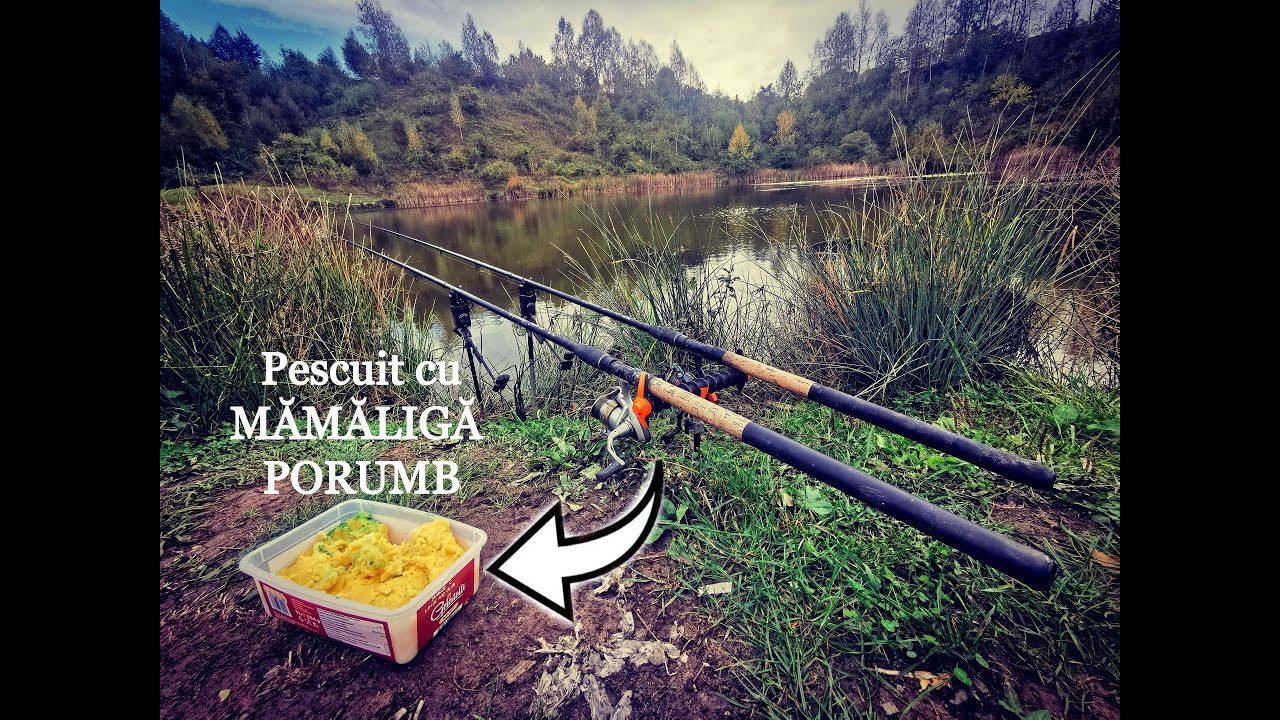 Pescuit cu MĂMĂLIGĂ ȘI PORUMB - CRAPI Pe Baltă Sălbatică &icirc;n ROM&Acirc;NIA