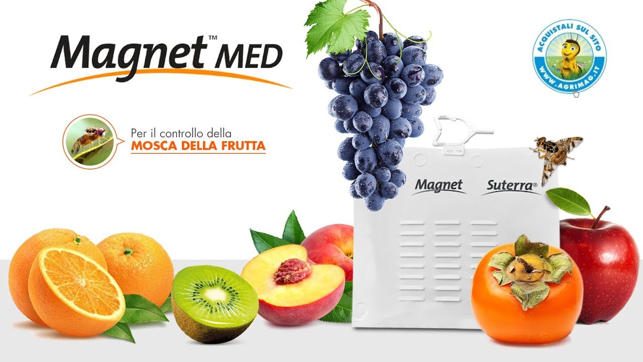 Magnet MED - Trappola per la cattura massale della Mosca della frutta (Ceratitis capitata)
