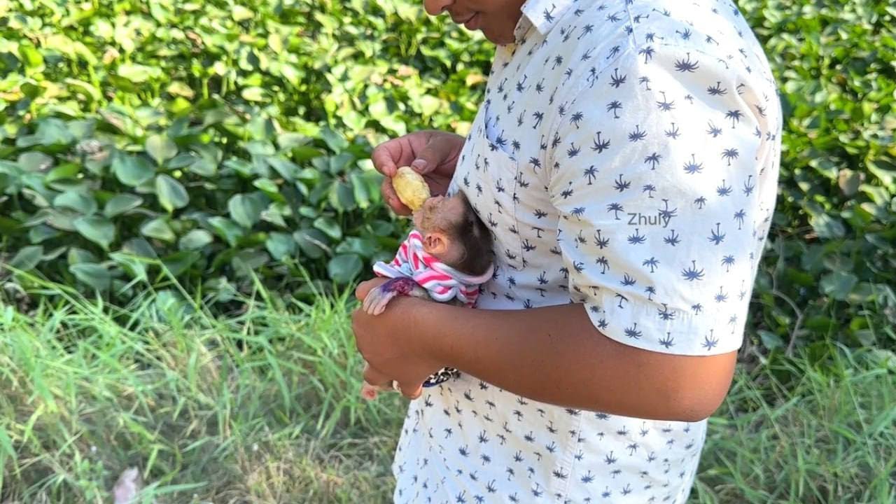 New Father Brought His Baby To Get Fresh Air & Heathy Feel Outside